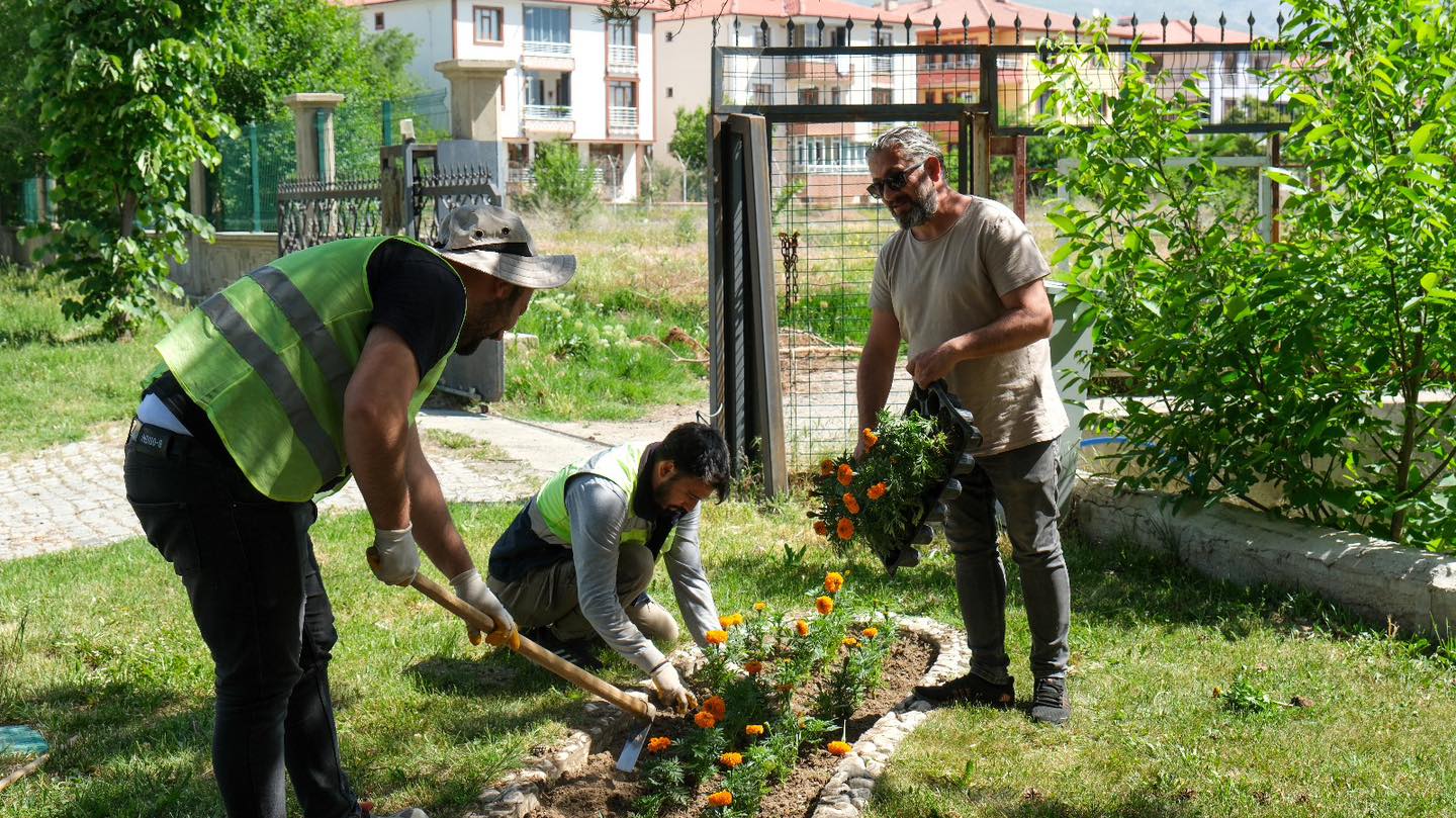 Çiçekler toprakla buluşuyor