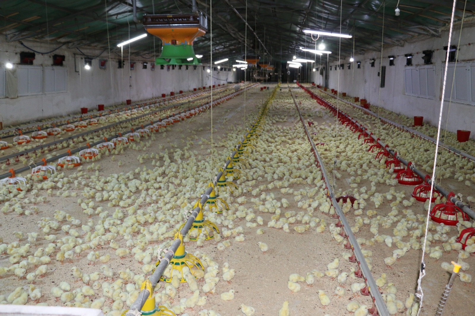 Erzincan’da birlikten kuvvet doğacak